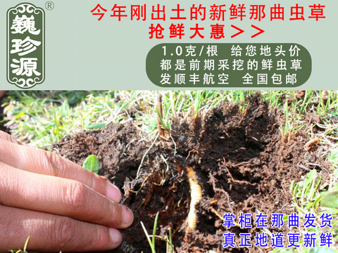 ���r���x�Ĳ����^�����r�x����Ρ��Դ1��/�����r�������x�Ĳ��^���������ڳ����������^�����r�x��